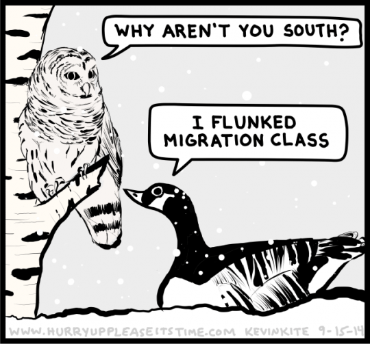 a HURRY UP PLEASE IT'S TIME comic - flunked