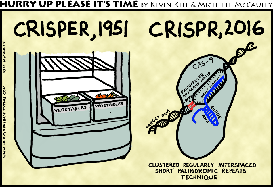 crisper crispr